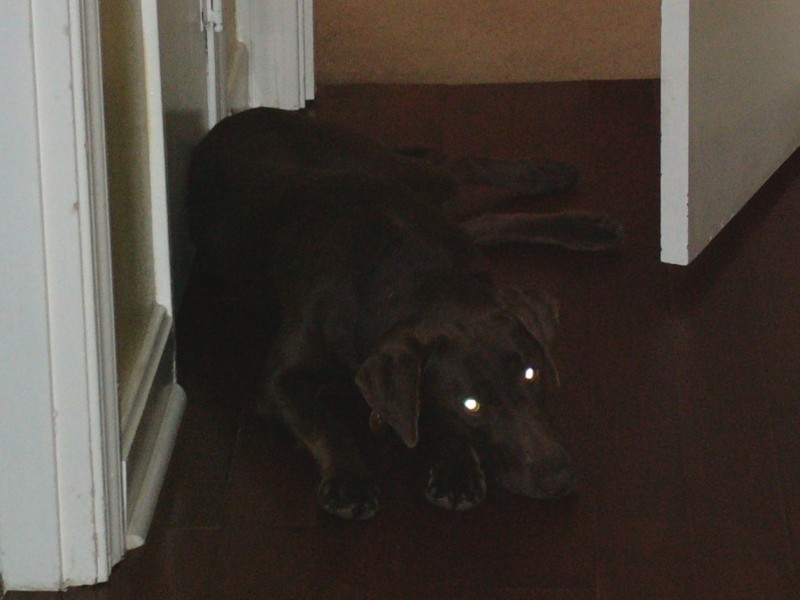 Laying in the hall.JPG